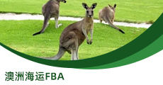 澳洲专线FBA
