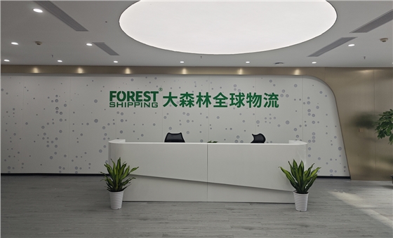 大森林全球物流前台