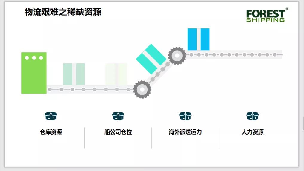 大森林物流