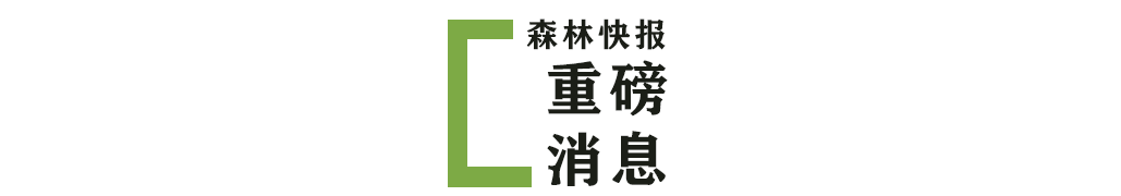 大森林物流