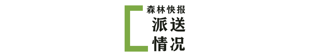 最新资讯
