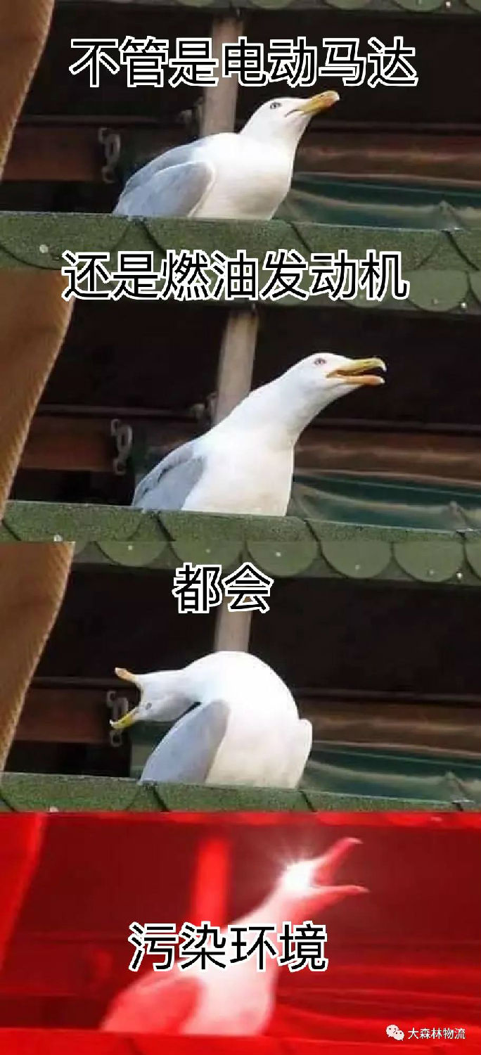 大森林 大森林
